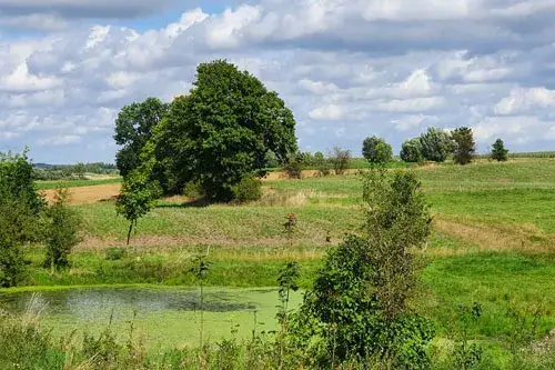 Gdzie leży nizina mazowiecka? Odkryj jej fascynujące położenie