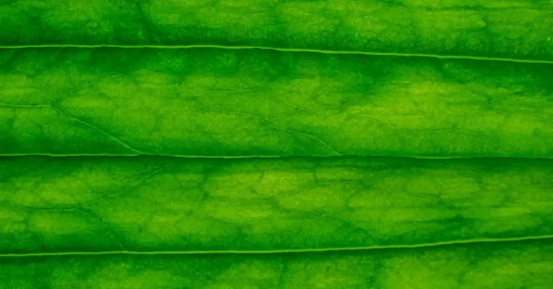 Majówka w Polsce: Pomysły na długi weekend i atrakcje na święto pracy