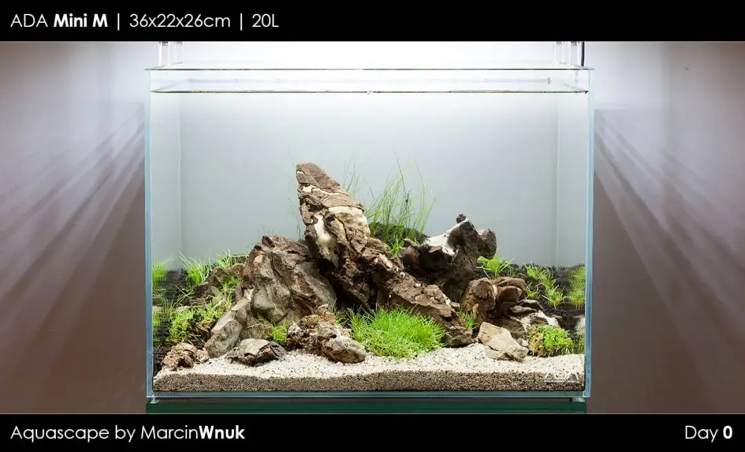 Gdzie znaleźć kamienie do akwarium: najlepsze miejsca i sprawdzone sklepy