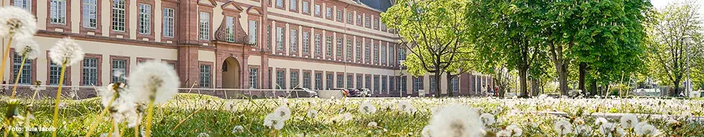 Studium Generale Uni Mannheim: Odkryj różnorodne kursy i szkolenia