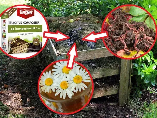 7 skutecznych sposobów jak przyspieszyć rozkład kompostu w ogrodzie