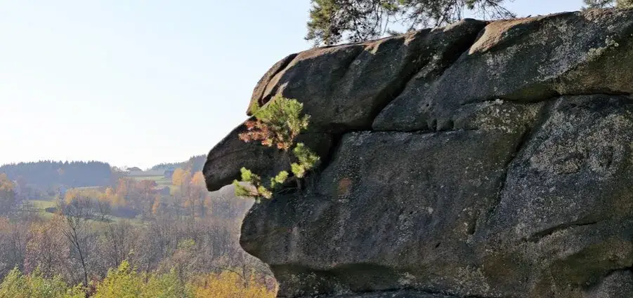 Rezerwat przyrody Skamieniałe Miasto – historia, szlaki i ciekawostki przyrodnicze
