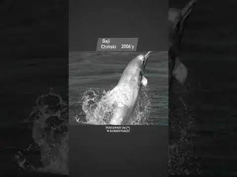 Zwierzęta, które wyginęły w XX wieku – przyczyny, historia i wpływ na ekosystem