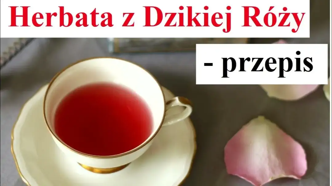 Jak zrobić herbatę z dzikiej róży: prosty przepis krok po kroku