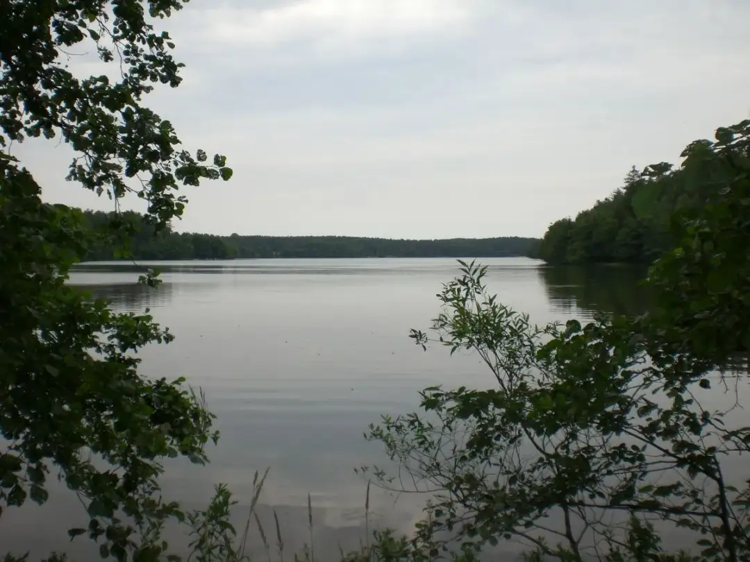 Jezioro Sianowskie – atrakcje, wędkowanie i tajemnice przyrody w jednym miejscu