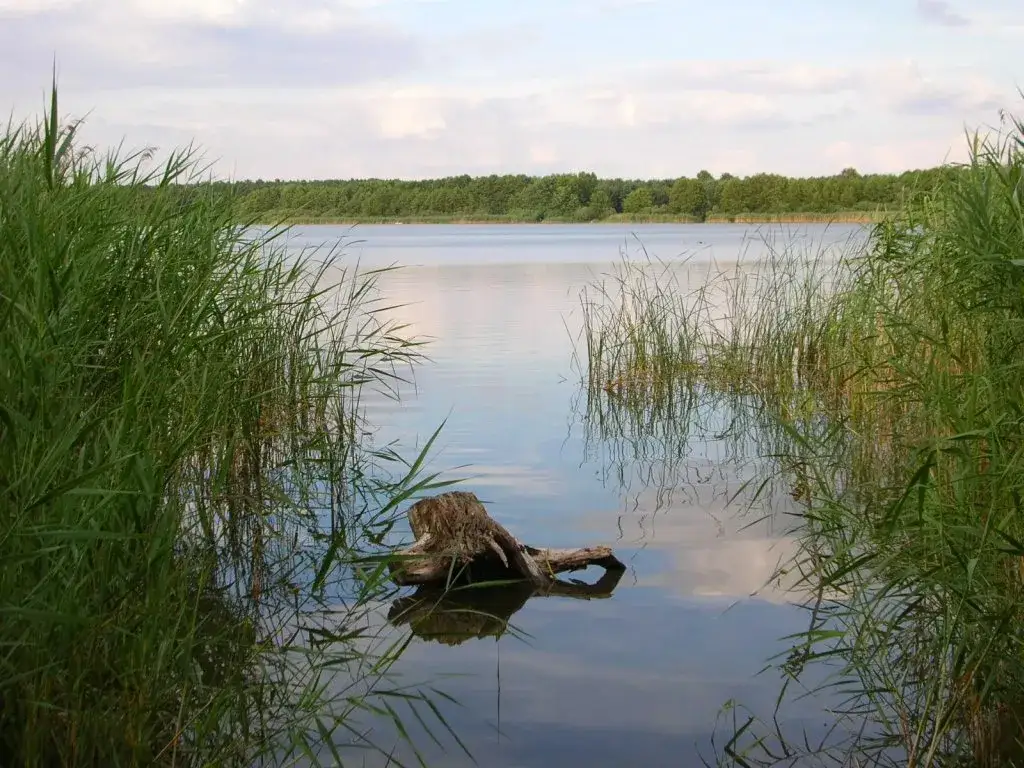 Jezioro Jezuickie: najlepsze kąpieliska i miejsca na rodzinny wypoczynek