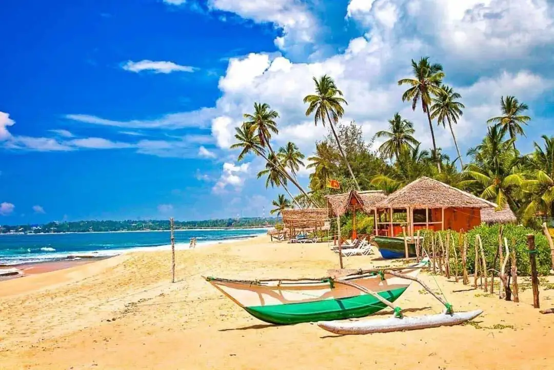 Sri Lanka: Kiedy jechać? Najlepszy czas na podróż i atrakcje