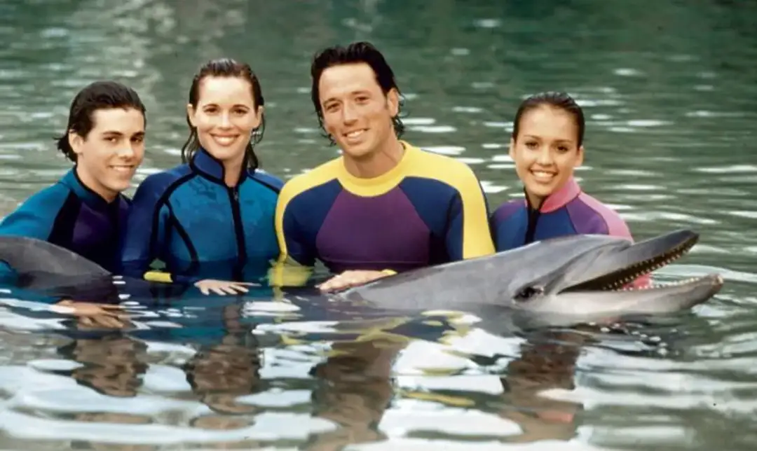 Filmy o delfinach: Jak zmieniły nasze podejście do nich?