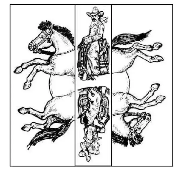 Zagadka o koniach – odkryj fascynujące fakty i najlepsze quizy dla dzieci