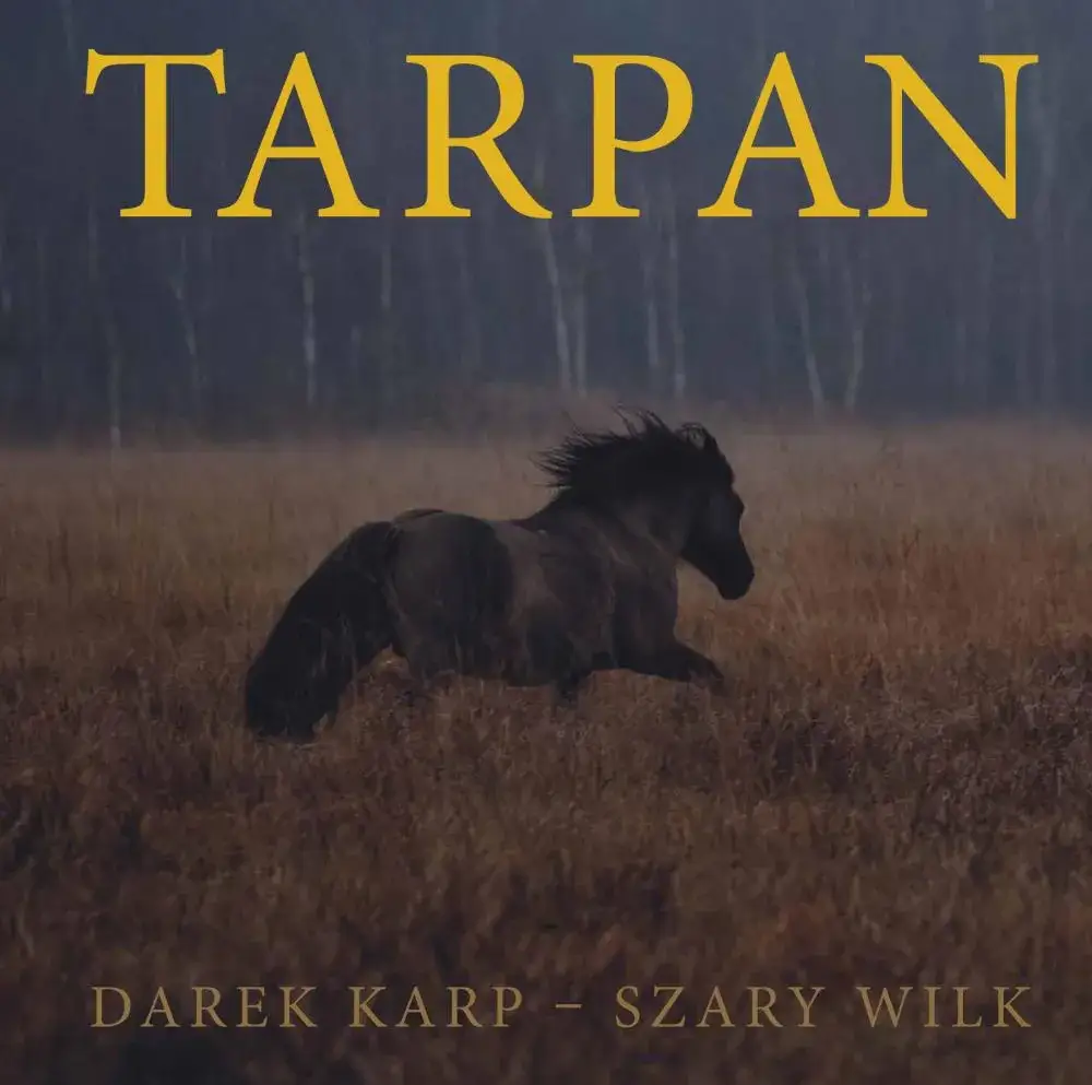 Czy w Polsce są dzikie konie? Odkryj fascynujący świat koników polskich