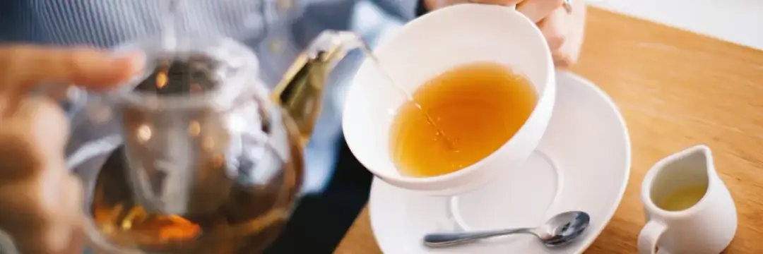 Welcher Tee ist zum Abnehmen? Die besten Sorten für schnelle Ergebnisse