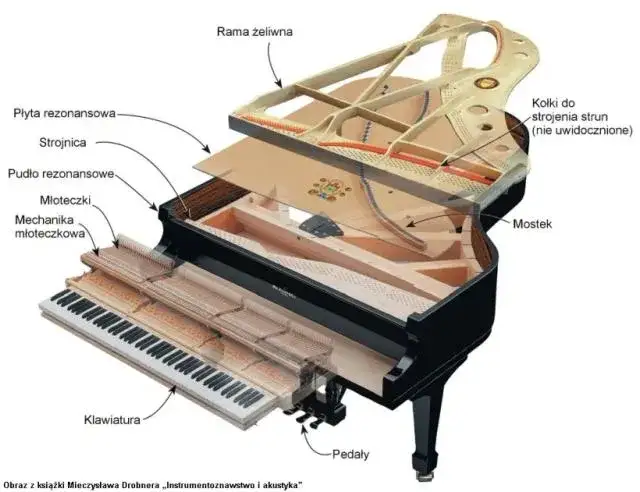 Fascynująca prawda o liczbie strun w fortepianie: niesamowite szczegóły budowy