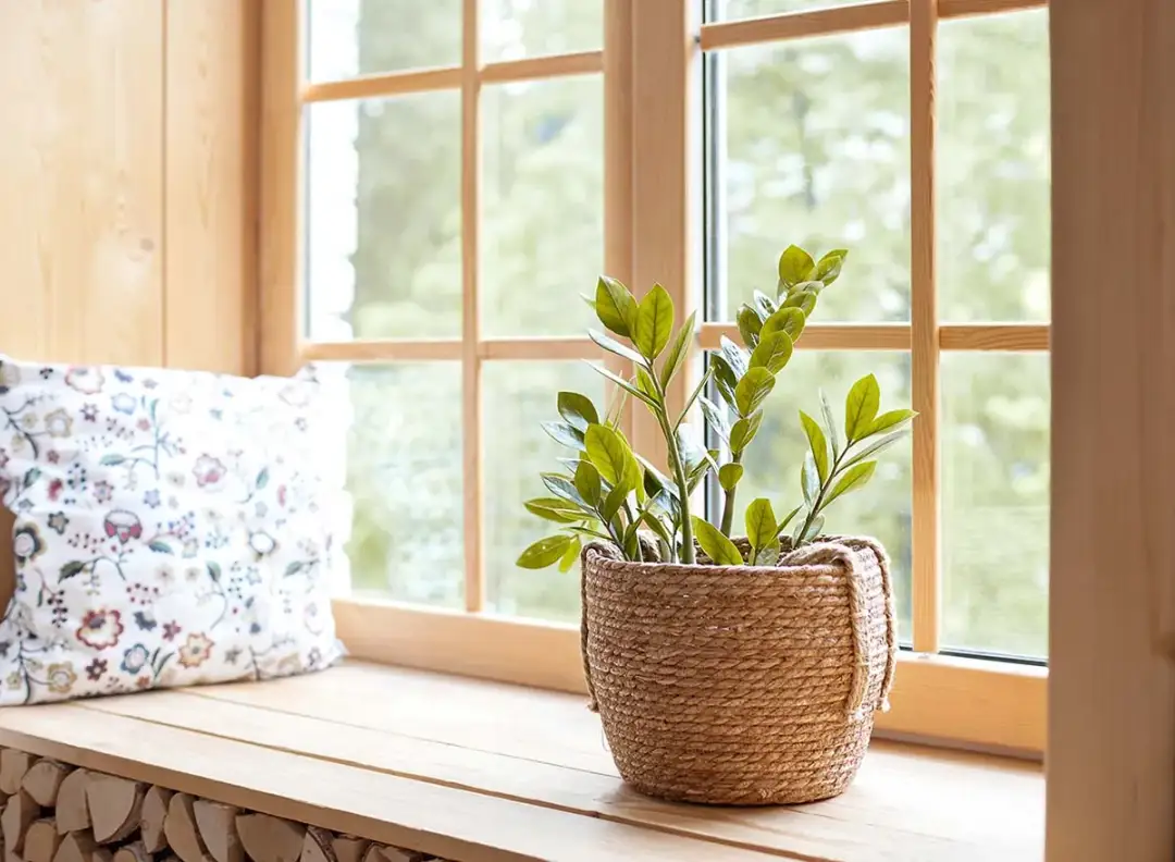 Jak ozdobić parapet w sypialni: 10 inspirujących pomysłów