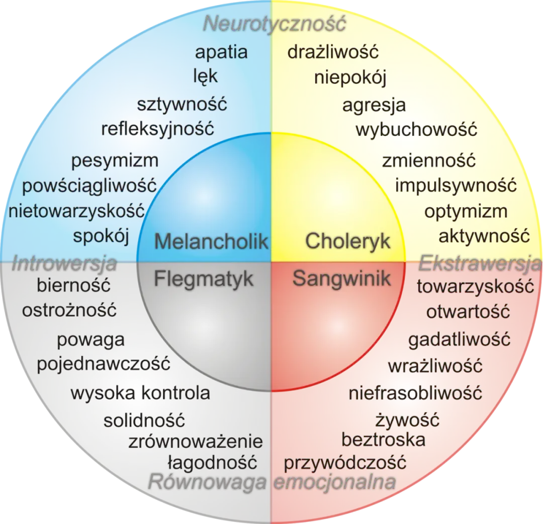 Jak określić swój typ osobowości i zrozumieć swoje cechy charakteru