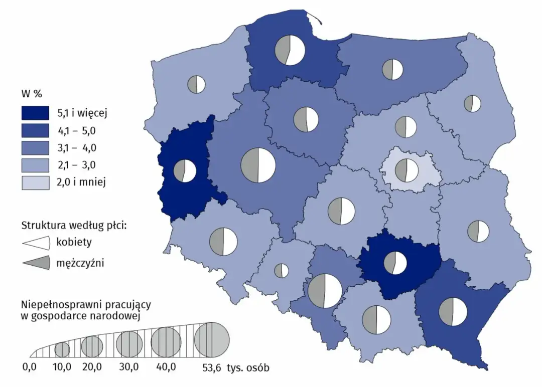 Ile jest osób niepełnosprawnych w Polsce: Aktualne statystyki i fakty