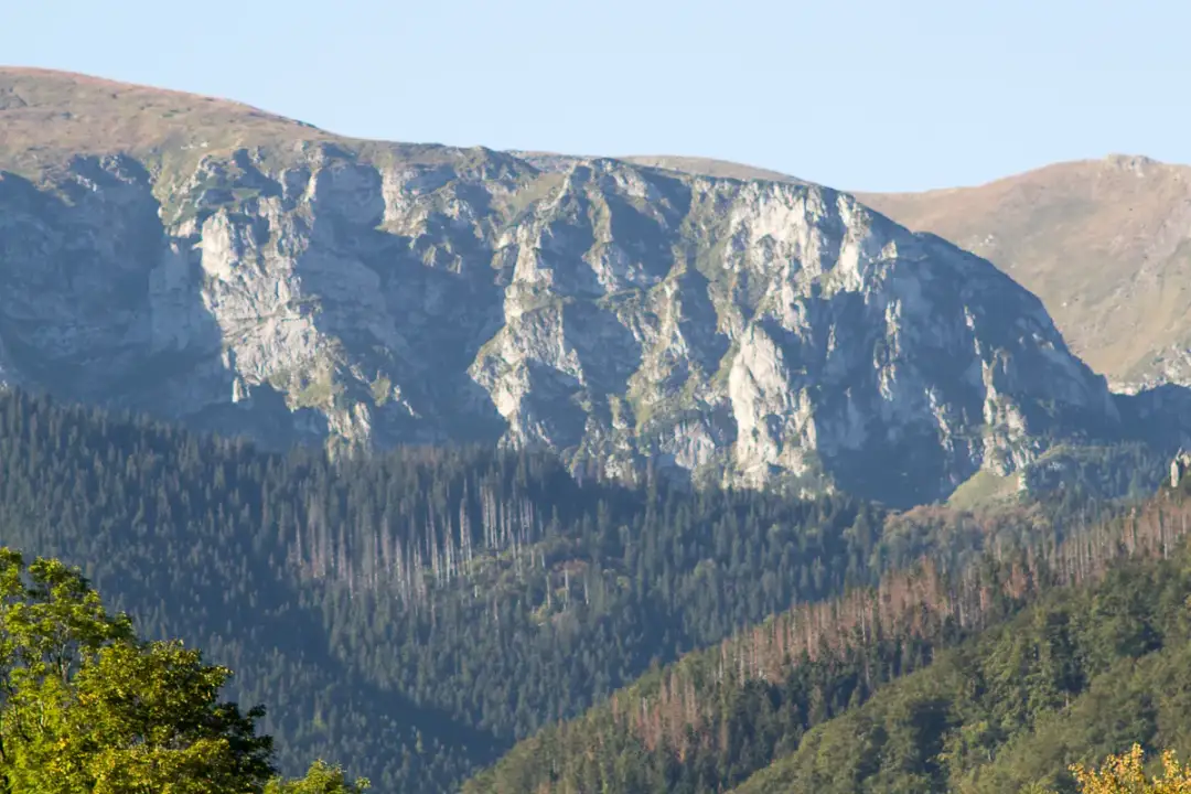 Zakopane: 5 miejsc, które podbiją Twoje serce!