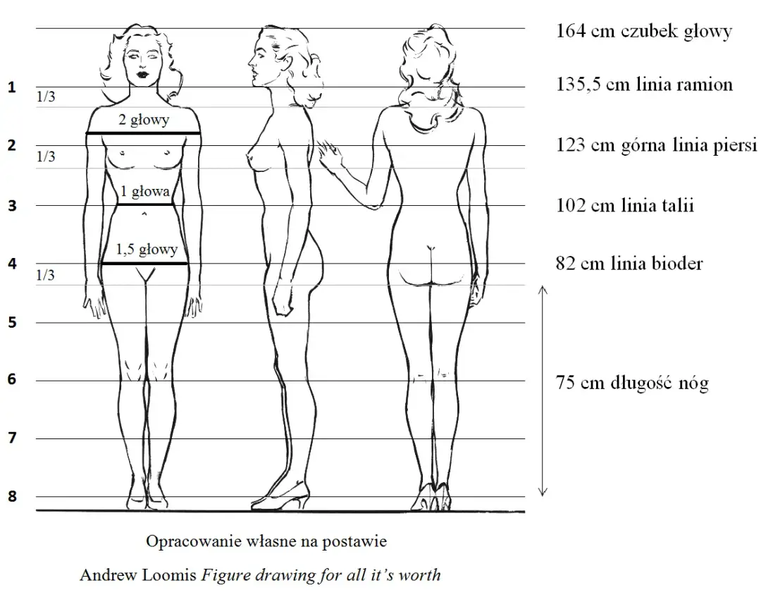Idealne wymiary kobiecej sylwetki – jak je osiągnąć i czy warto?