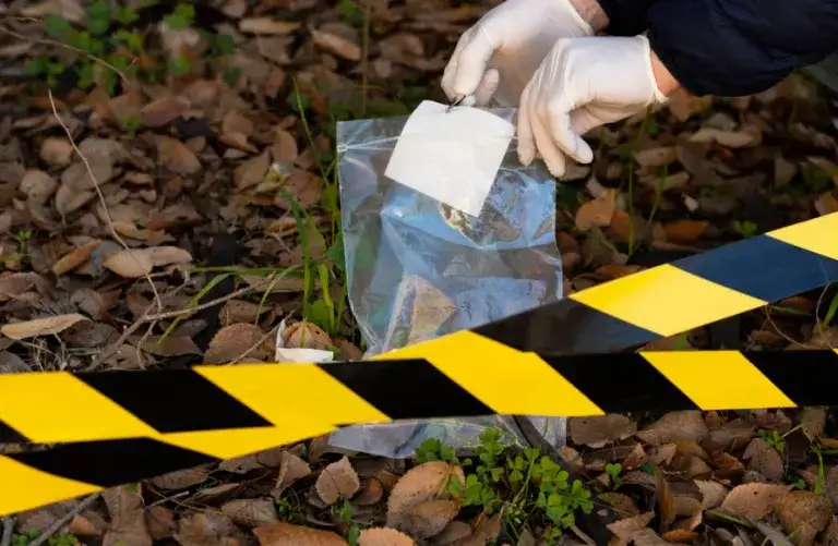 Jakie zawody po kryminalistyce? Perspektywy pracy i wymagania kwalifikacyjne