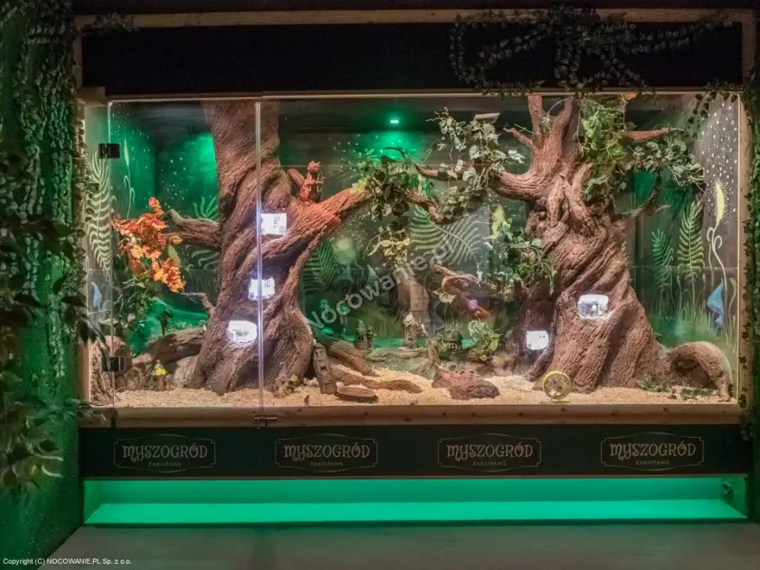 Ile kosztuje wstęp do Myszogrodu w sercu Zakopanego? Oto cennik