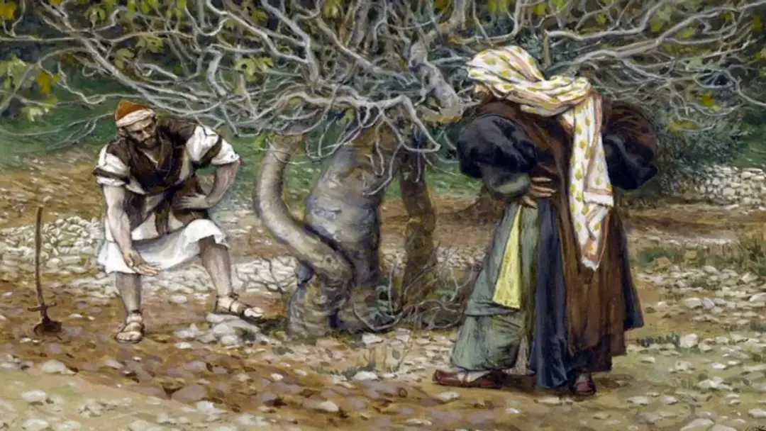 Przypowieść o drzewie figowym: znaczenie, symbolika i współczesne refleksje