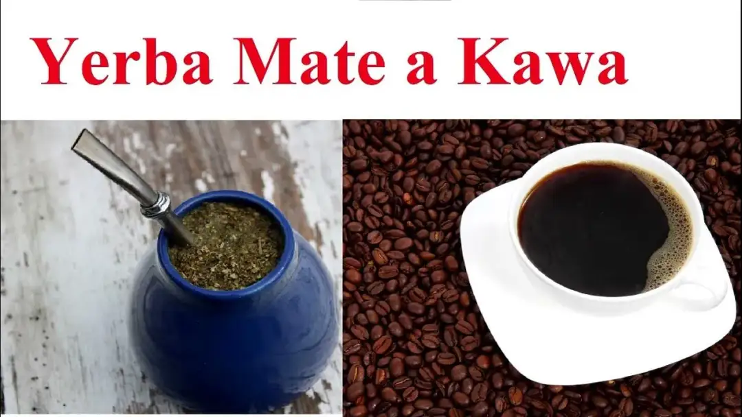 Yerba mate czy kawa – co wybrać dla lepszej koncentracji?