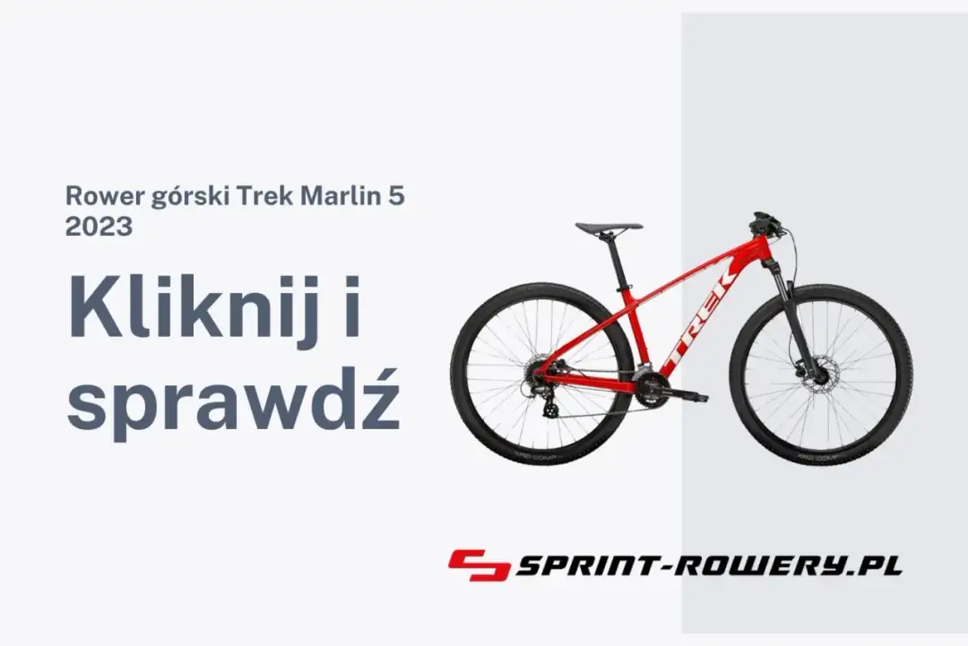 Ile kosztuje rower? Ceny modeli i przydatne wskazówki przy zakupie