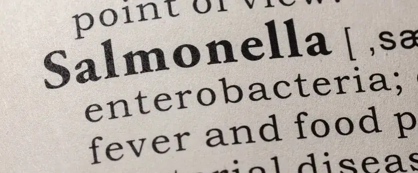 Jak zapobiec salmonellozie: 10 kluczowych zasad, które chronią zdrowie