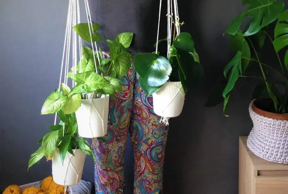 Jak zrobić wiszący kwietnik: proste instrukcje DIY krok po kroku