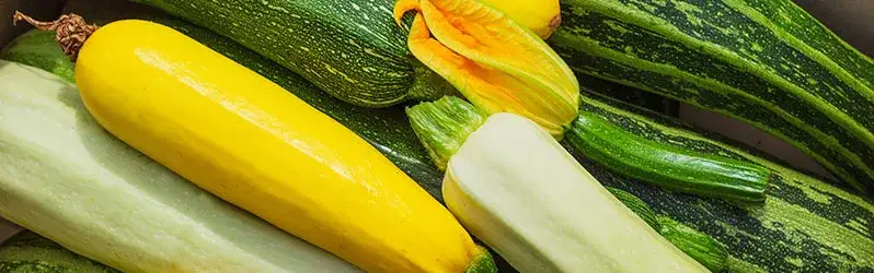 Co ugotować z cukini - 10 prostych przepisów na pyszne dania