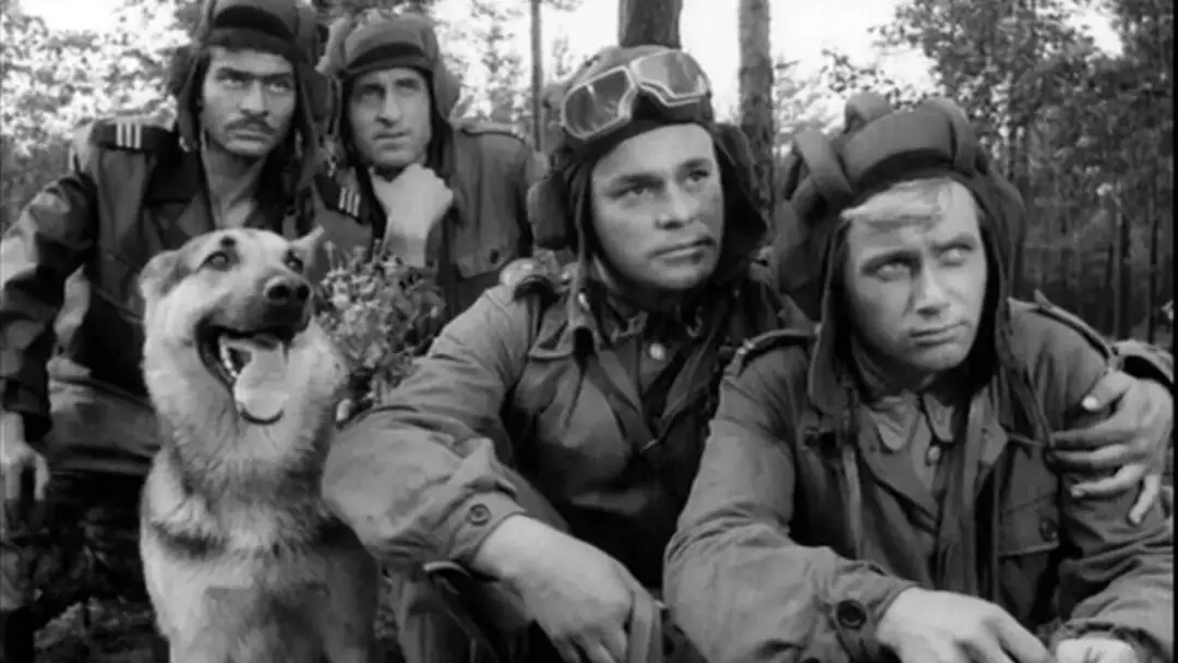 Czterej pancerni i pies: ile odcinków ma kultowy serial i co warto wiedzieć