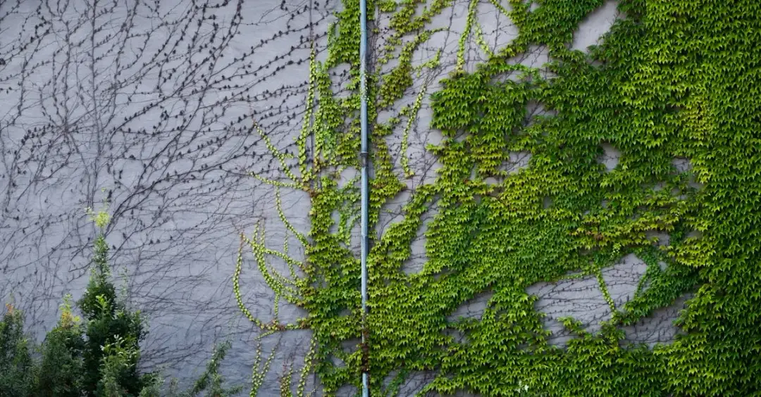 Ile zaoszczędzisz na dotacjach do termomodernizacji budynku?