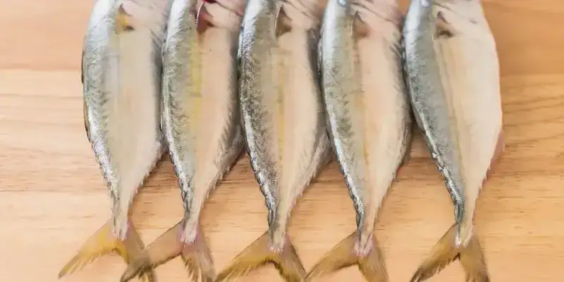 Ile kalorii ma makrela surowa, smażona i wędzona: pełne zestawienie