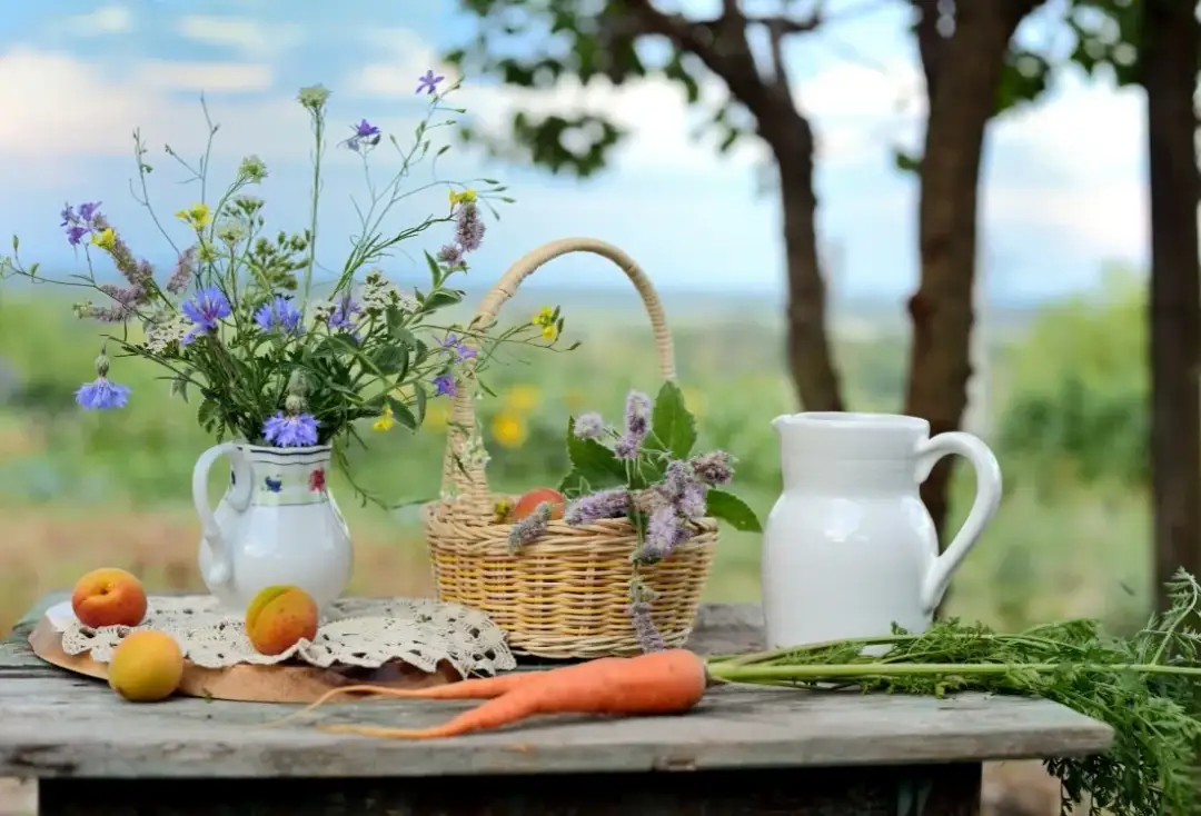 Co to jest agroturystyka? Odkryj jej zalety i wyjątkowe atrakcje