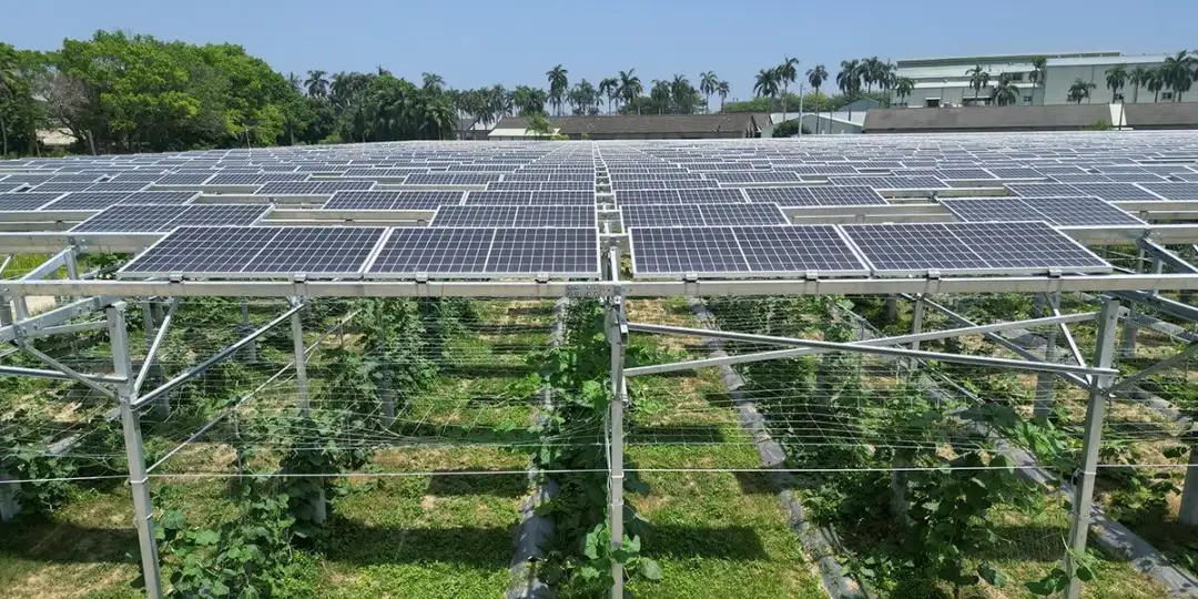 Agrofotowoltaika: co to jest i jak rewolucjonizuje rolnictwo