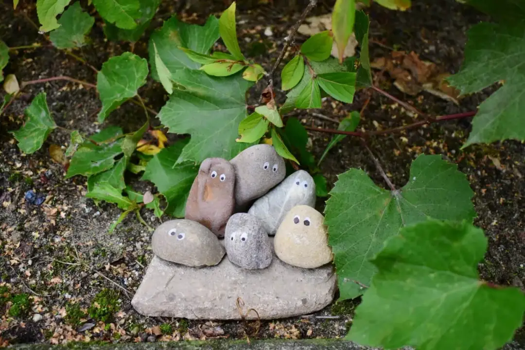 Jak zrobić samemu ozdoby z kamienia do ogrodu i zachwycić gości