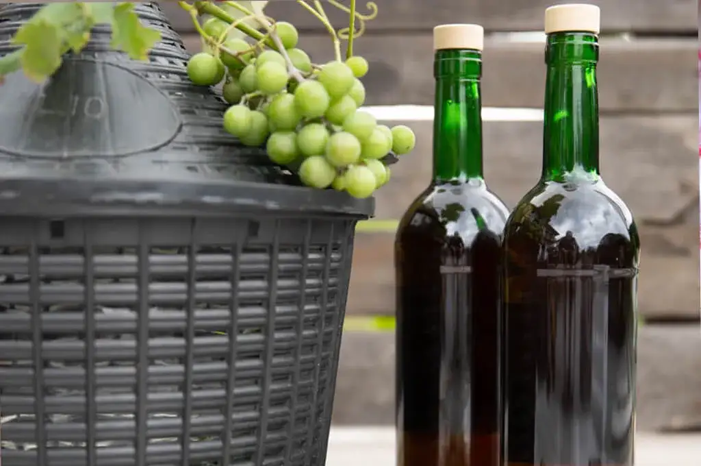 Jak zrobić wino z białego winogrona – proste kroki do smaku idealnego