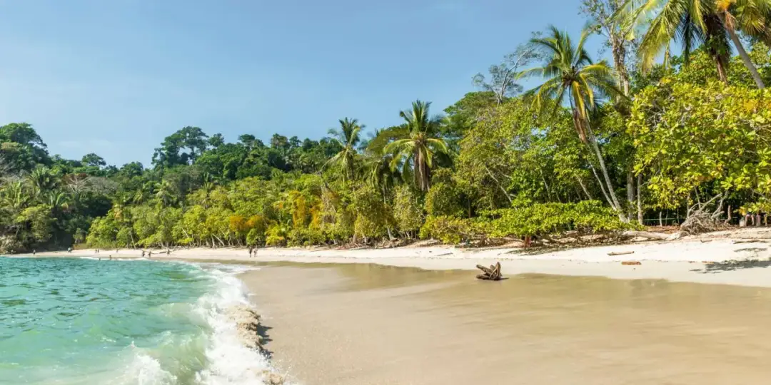 Najciekawsze atrakcje w Kostaryce, które musisz zobaczyć