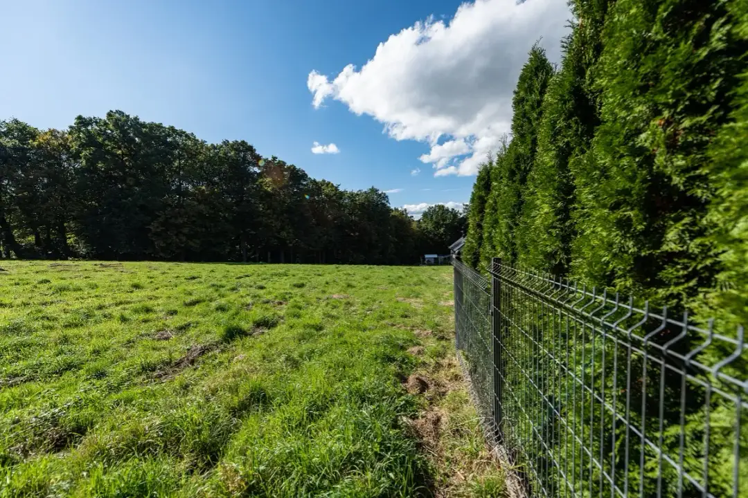 Ile od granicy można postawić ogrodzenie? Przepisy i ważne informacje