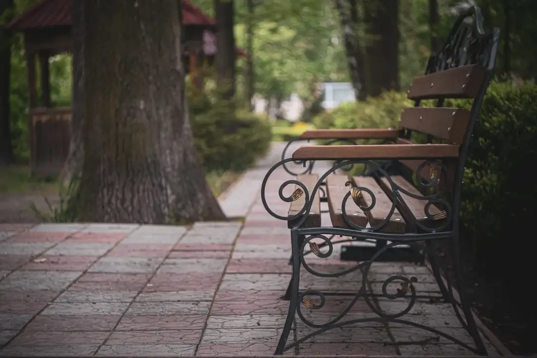 Na co zwrócić uwagę przy wyborze ławki ogrodowej?