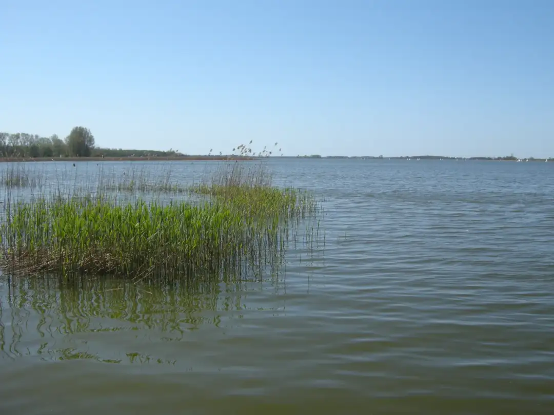 Jezioro Berzyńskie - malowniczy akwen na Pojezierzu Poznańskim