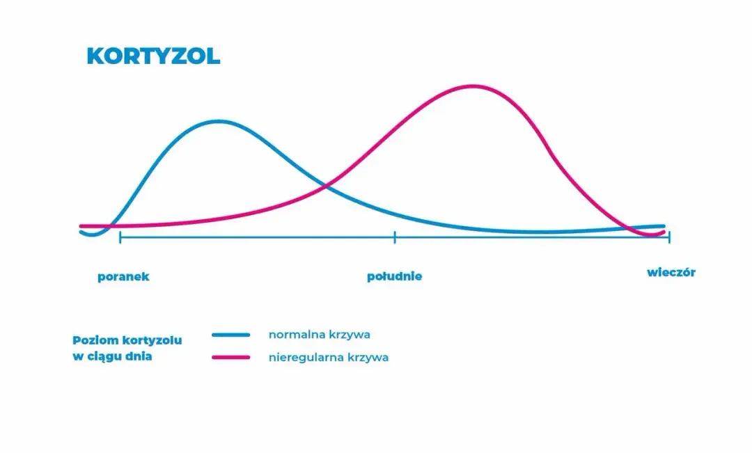 Czy kawa podnosi kortyzol? Sprawdź, jak wpływa na Twoje zdrowie