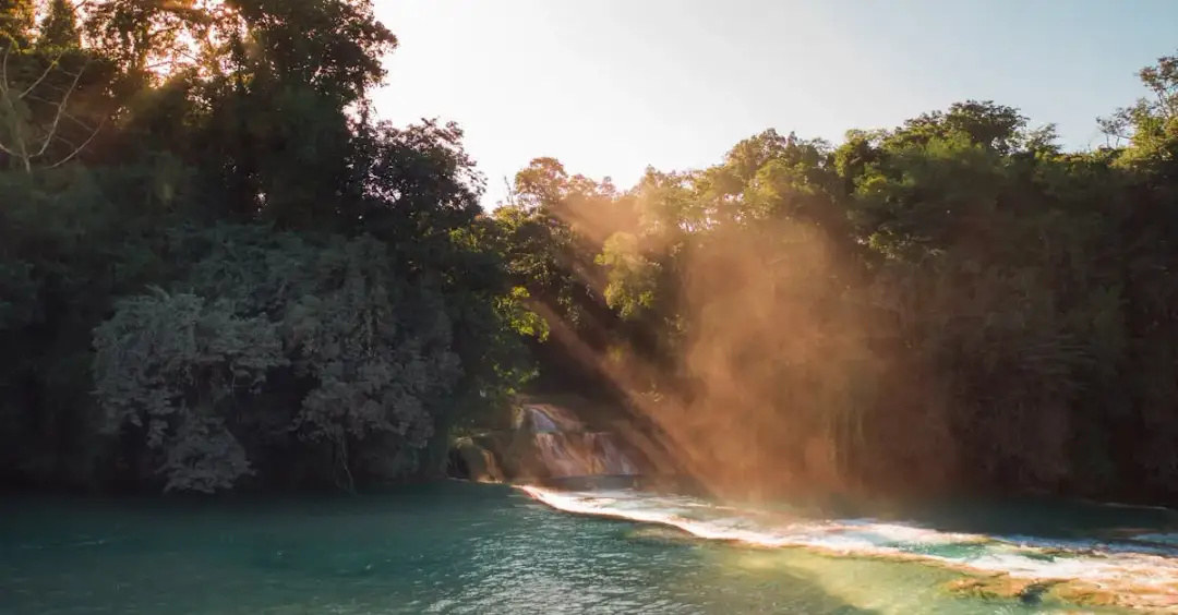 Jaki nowy świat odkrywa przed nami Pieśń Słoneczna? Oto tekst!