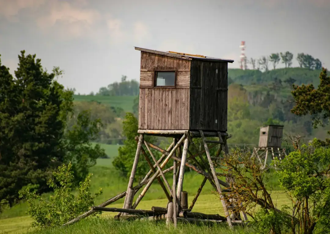 Ambon myśliwskich projekt i budowa: kompletny poradnik techniczny
