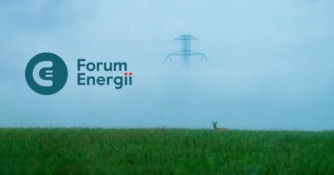 Ile prądu zużywa Polska? Zaskakujące statystyki i trendy energii