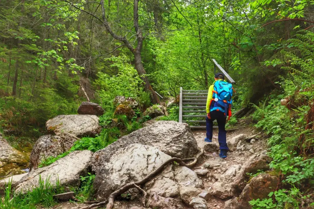 Rezerwat przyrody Wąwóz Homole – nieprzewidywalne piękno Pienin