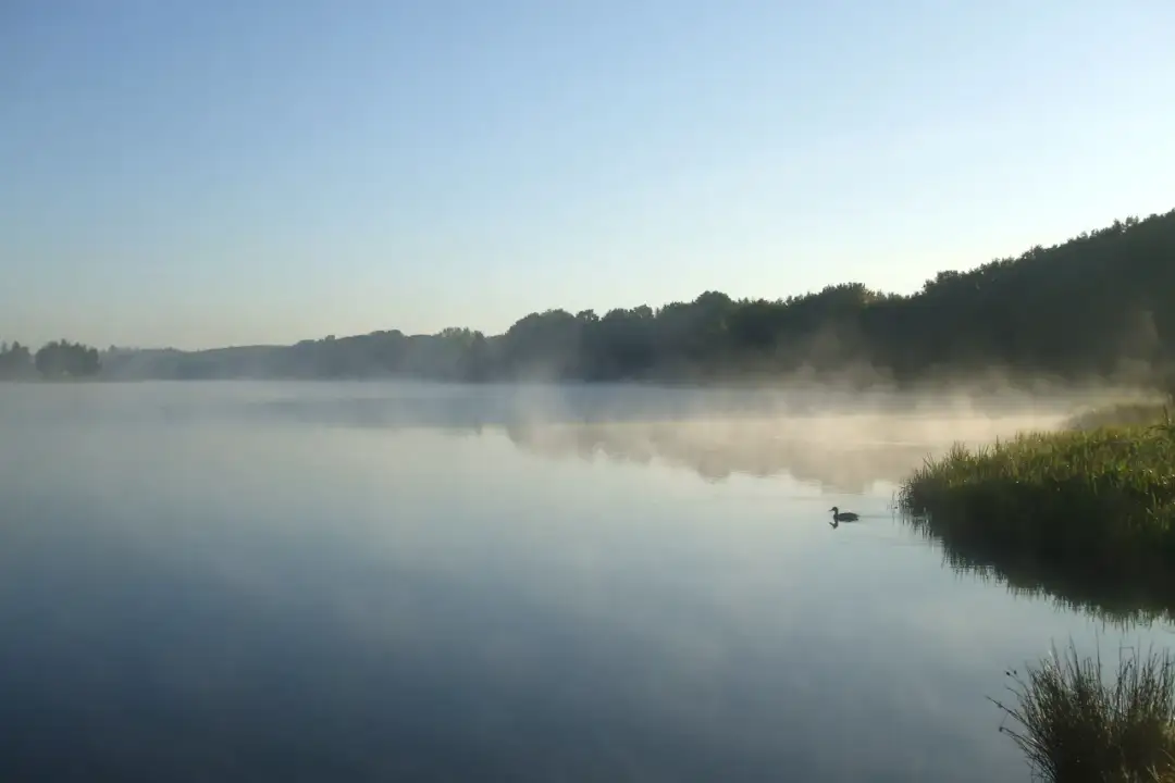 Jezioro Wysockie: Odkryj piękno i atrakcje tego urokliwego miejsca