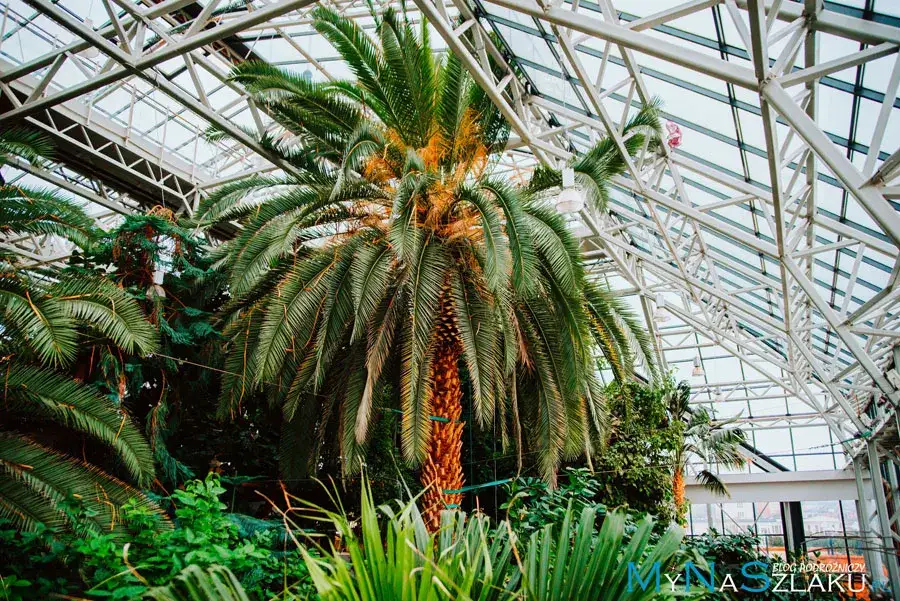 Zielona Góra atrakcje: czy jest tu coś ciekawego? sprawdź top 5