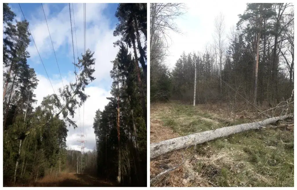 Gdzie zgłosić brak prądu? Ważne informacje, które musisz znać