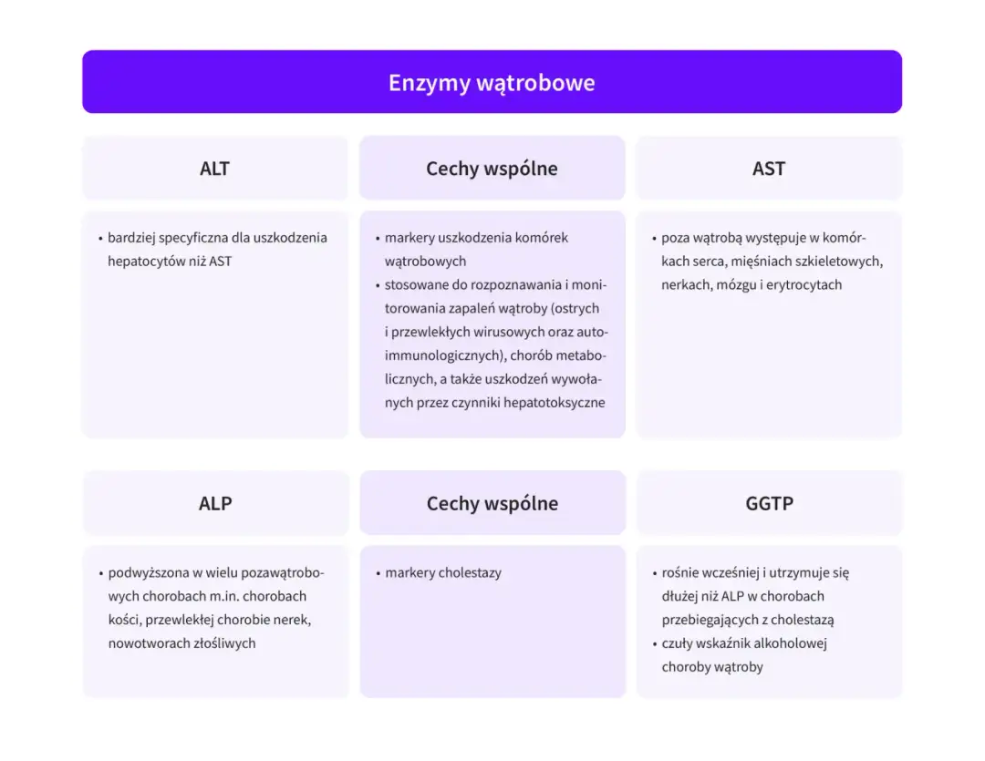 Podwyższony poziom ALT: przyczyny i objawy, które warto znać