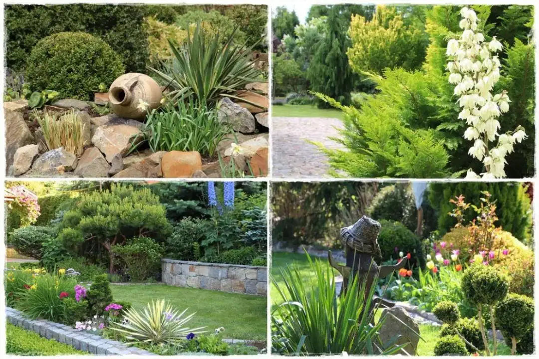 Najlepsze rośliny do łączenia z juką ogrodową - poradnik nasadzeń